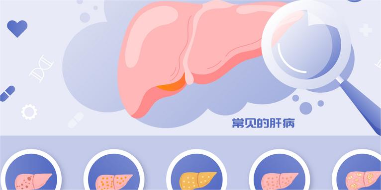 摄图网_402142207_wx_全国爱肝日常见肝病矢量插画（企业商用）.jpg