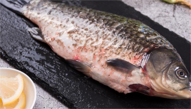 1722418488734199.jpg 摄图网_501118859_wx_新鲜的鱼(企业商用).jpg